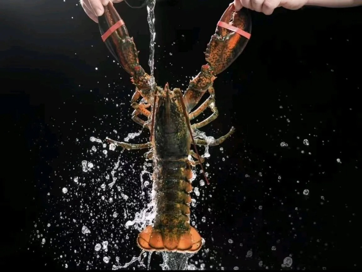 中山海鲜